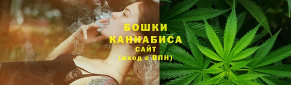 2c-b Белокуриха
