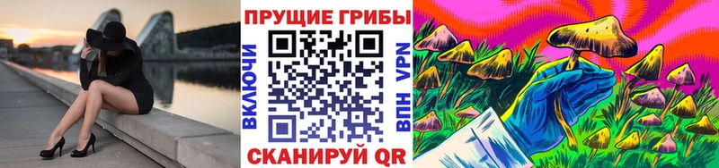 продажа наркотиков  Абакан  hydra зеркало  Галлюциногенные грибы Psilocybine cubensis 